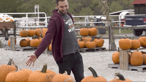 giphy.gif